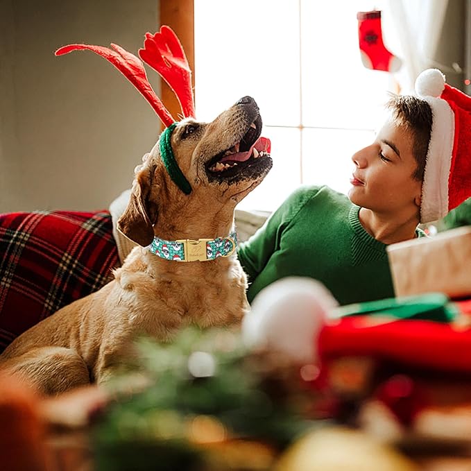 Christmas Dog Collars for Small Dog,Green Santa Claus Dog Collar with Safety Metal Buckle Adjustable Puppy Collars for Medium Large Dog,Boy&Girl&Male&Female Dog Gift,S-10-16"