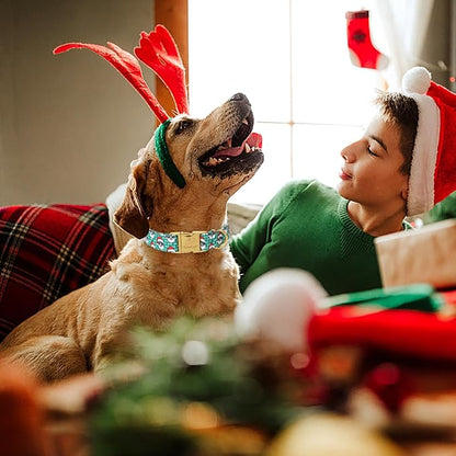 Christmas Dog Collars for Small Dog,Green Santa Claus Dog Collar with Safety Metal Buckle Adjustable Puppy Collars for Medium Large Dog,Boy&Girl&Male&Female Dog Gift,S-10-16"
