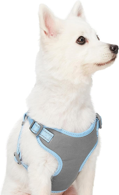 Blueberry Pet Essentials Pastel Color Reflective Dog Harness Vest, Chest Girth 17.5" - 21", Baby Blue, Small, Adjustable Harnesses for Dogs