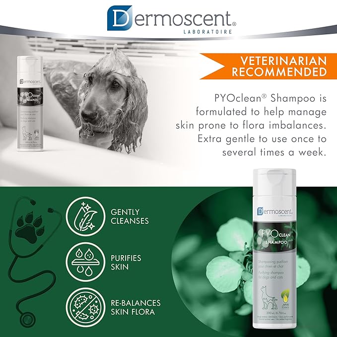 Dermoscent PYOclean Shampoo for Dogs & Cats - Anti-Itch Sensitive Formula to Control Skin Infections & Allergy Symptoms - 200 ml