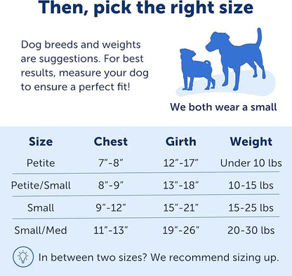 PetSafe Easy Walk No-Pull Dog Harness - The Ultimate Harness to Help Stop Pulling - Take Control & Teach Better Leash Manners - Helps Prevent Pets Pulling on Walks, Small/Medium, Black/Silver