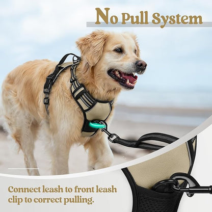 rabbitgoo Dog Harness, No-Pull Pet Harness with 2 Leash Clips, Adjustable Soft Padded Dog Vest, Reflective No-Choke Pet Oxford Vest with Easy Control Handle for Small Dogs, Beige, S