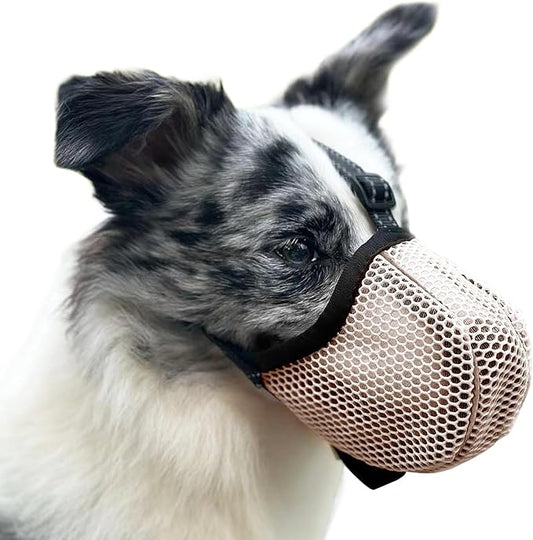 Large Dog Muzzle, Muzzle for Large Dogs to Prevent Eating/Chewing/Biting, Breathable Reflective Adjustable Medium Dog Accessories Dog Muzzle (Yellow, S)
