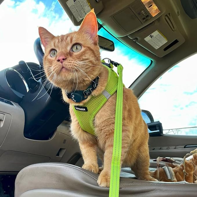 Voyager Step-in Air Dog Harness - All Weather Mesh, Reflective, No Pull Harness for Small, Medium Dogs, Cats - Secure with Hook & Loop Fastener, Buckle, Double D-Rings - Lime Green, XXS