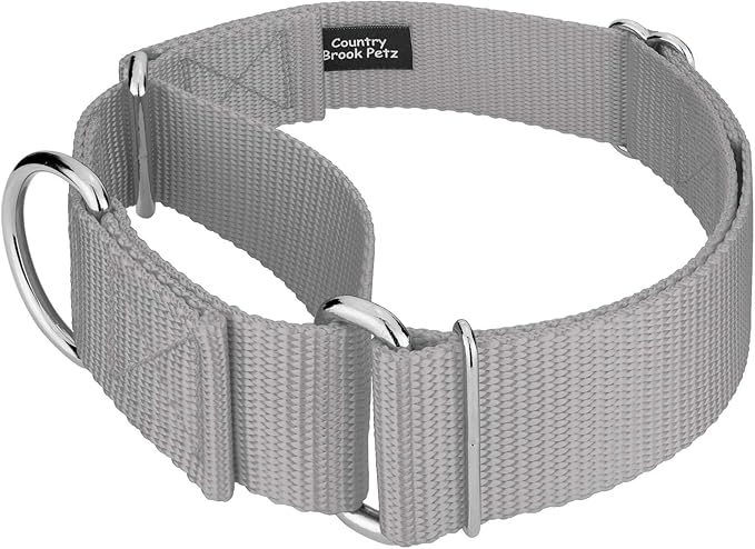 Country Brook Petz 1 1/2 Inch Martingale Heavy Duty Nylon Adjustable Dog Collar for Small, Medium, Large Breeds - Vibrant 17 Color Selection (Silver, Extra Large)