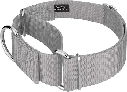 Country Brook Petz 1 1/2 Inch Martingale Heavy Duty Nylon Adjustable Dog Collar for Small, Medium, Large Breeds - Vibrant 17 Color Selection (Silver, Extra Large)