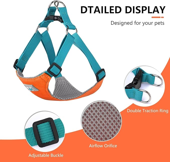 Beirui Small Dog Harness and Leash Set, No Pull Step-in Harness for Puppy, Lightweight Air Mesh Pet Harness for Small Dogs (Orange, XS)