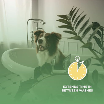 Bark2Basics Salon Scents Pet Grooming Cologne - 8 oz, Natural Professional Grade Perfume for Dogs and Cats, Spray, Long Lasting, Deodorizing, (Coconut and Pineapple)