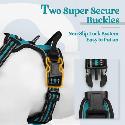 rabbitgoo Dog Harness, No-Pull Pet Harness with 2 Leash Clips, Adjustable Soft Padded Dog Vest, Reflective No-Choke Pet Oxford Vest with Easy Control Handle for Large Dogs, Teal, S