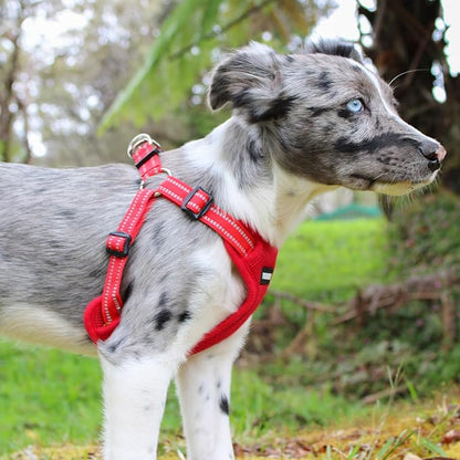 Best Pet Supplies Voyager Adjustable Dog Vest Harness Breathable No Pull Harness for Small, Medium, Large Dogs, Heavy Duty Harness for Walking, Jogging, Easy Step-in, Reflective Stripes - (Red), M