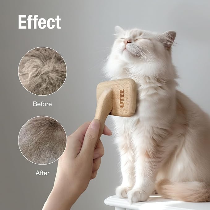 Slicker Brush Groom Like a Professinal Stainless Steel Pins, Lightweight Beech Wood Body, Ground and Polished Tips, Medium Pet Bruch