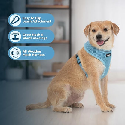 Voyager Aerolite No Pull Mesh Dog Harness with Lightweight, Soft, Breathable, Reflective Stitching, and Adjustable Straps for Walking, Running, Training, Heavy Duty and Durable - Baby Blue, S