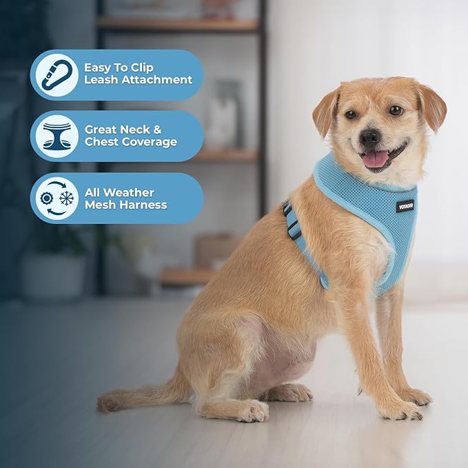 Voyager Aerolite No Pull Mesh Dog Harness with Lightweight, Soft, Breathable, Reflective Stitching, and Adjustable Straps for Walking, Running, Training, Heavy Duty and Durable - Baby Blue, L