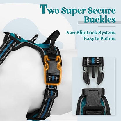 rabbitgoo Dog Harness, No-Pull Pet Harness with 2 Leash Clips, Adjustable Soft Padded Dog Vest, Reflective No-Choke Pet Oxford Vest with Easy Control Handle for Small Dogs, Blue Coral, S