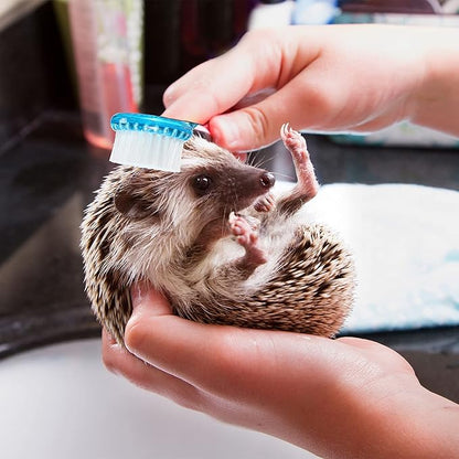 Mudder Small Animal Grooming Kit: 2 Pcs Hedgehog Supplies Hedgehog Accessories Hedgehog Bathing Brush with Nail Toenail Clipper with Magnifier for Pet Hamster Guinea Pig Rabbit Cat Kitten