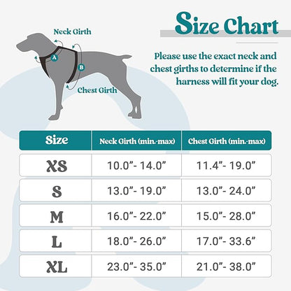 rabbitgoo Dog Harness, No-Pull Pet Harness with 2 Leash Clips, Adjustable Soft Padded Dog Vest, Reflective No-Choke Pet Oxford Vest with Easy Control Handle for Small Dogs, Blue Coral, XS