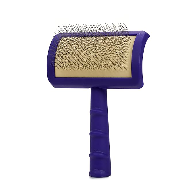 Jelly Pet Universal Slicker Brush for Dogs, Dog Grooming Brush, Remove Tangles and Dead Undercoat, Tuffer Than Tangles Maltese Shi-Tzu Poodle Bichon, Soft Pins, Purple, Small