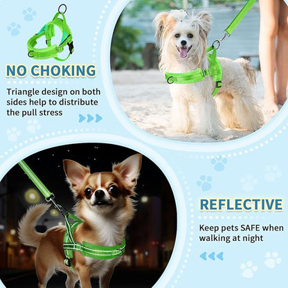 SlowTon No Pull Small Dog Harness and Leash Set, Puppy Soft Vest Harness Neck & Chest Adjustable, Reflective Lightweight Harness & Anti-Twist Pet Lead Combo for Small Medium Dogs (G-Front Clip,XXS)