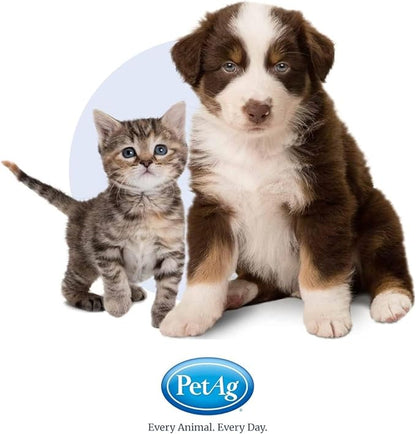 PetAg Fresh 'n Clean Itch Relief Shampoo - Rain Shower Fresh Scent Dog Shampoo - Instant Relief for Dry & Irritated Skin - 18 fl oz
