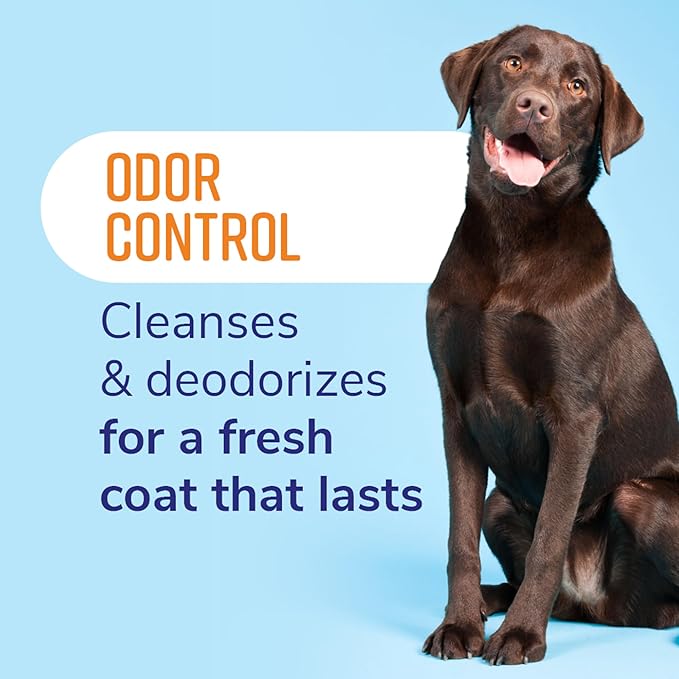 Naturel Promise Fresh & Soothing Odor Control Refreshing Shampoo for Pets, 22oz (Pack of 3)