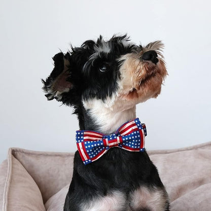 Lionet Paws Patriotic Dog Collar with Bowtie, 4th of July, Soft and Comfortable Adjustable American Flag Bowtie Collar for Dogs Male Female Gift, Small, Neck 10-16 inches