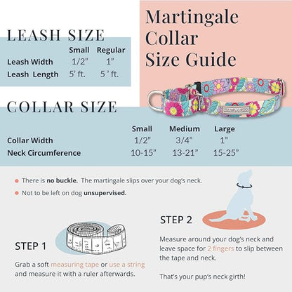 Lucky Love Dog Martingale Collar and Leash Set, Premium No Slip Collar and Leash Set, Colorful Striped Martingale Dog Collar, Great for Whippets, Greyhounds, and More (Large, Nacho - Combo)