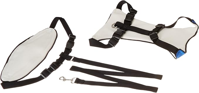 Guardian Gear Nylon Lift & Lead 4-in-1 Dog Harness, Large, Blue