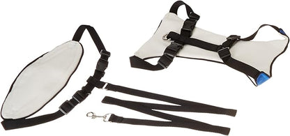 Guardian Gear Nylon Lift & Lead 4-in-1 Dog Harness, Large, Blue