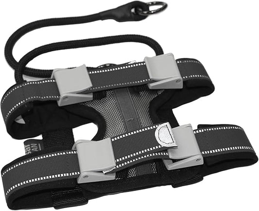 Cesar Millan Pack Leader Collar™ - Training Collar of The Dog Whisperer (Large, Grey)