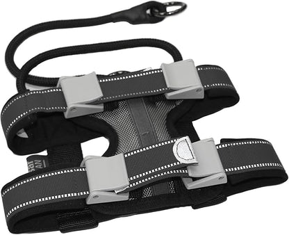 Cesar Millan Pack Leader Collar™ - Training Collar of The Dog Whisperer (Large, Blue)