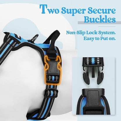 rabbitgoo Dog Harness, No-Pull Pet Harness with 2 Leash Clips, Adjustable Soft Padded Dog Vest, Reflective No-Choke Pet Oxford Vest with Easy Control Handle for Small Dogs, Blue, S