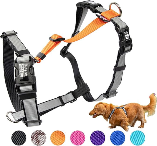 No Pull Harness with Fully Customizable Fitment for Small Dogs - 3M Reflective Heavy Duty Harness for Walking & Training - No Choke Comfortable Collar Design, Made in USA S-Orange