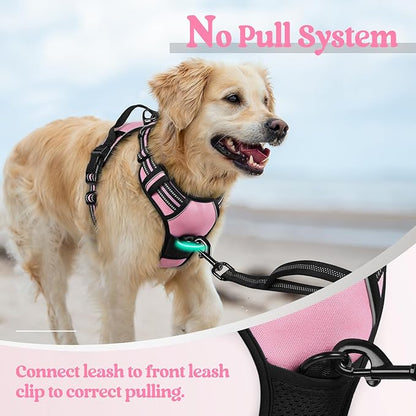 rabbitgoo Dog Harness, No-Pull Pet Harness with 2 Leash Clips, Adjustable Soft Padded Dog Vest, Reflective No-Choke Pet Oxford Vest with Easy Control Handle for Small Dogs, Pink, S