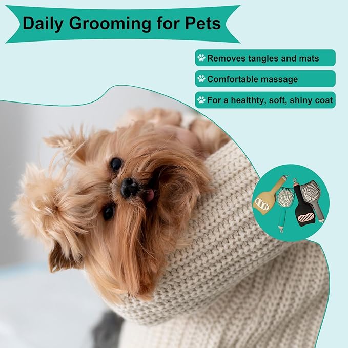 Soft Bristle Cat-Ear Puppy Brush Small Dogs Gentle Comb Grooming Tool Yorkie Shih Tzu Maltipoo Maltese (Sky Blue)