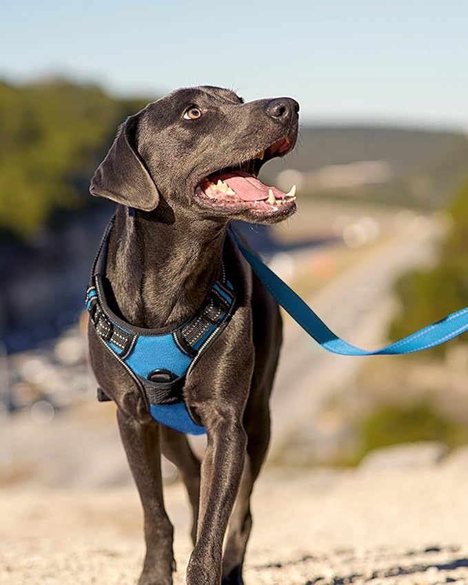 Joytale No Pull Dog Harness for Large Dogs, Reflective Pet Vest with Front Clip, Adjustable Soft Padded Harnesses with Easy Control Handle for Training and Walking, Sky Blue, L