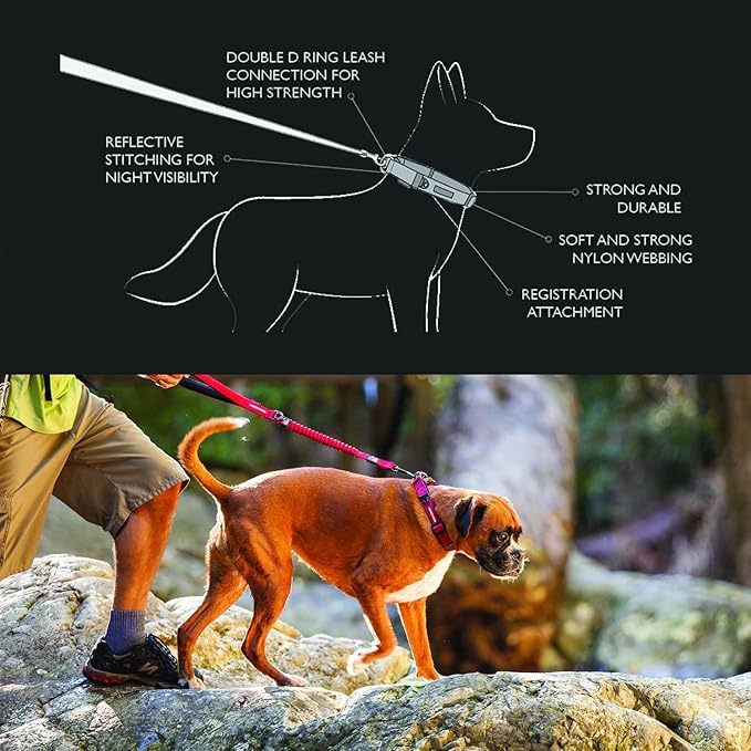 EzyDog Double Up Premium Nylon Dog Collar with Reflective Stitching - Double D-Rings for Superior Strength, Safety, and Comfortability - Non-Rusting and Includes an ID Attachment (Medium, Black)