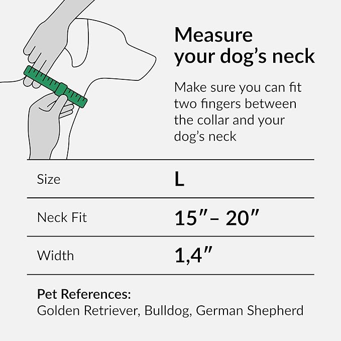 CollarDirect Martingale Collars for Dogs Heavy Duty Floral Pattern Female Safety Nylon Training Wide Collar Flower Design Large Medium (L, Neck Size 15"-20", Toffee)
