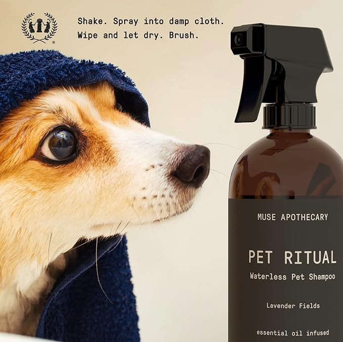 Muse Apothecary Pet Ritual Aromatic Waterless Shampoo for Pets - No Rinse Dog Shampoo - Waterless Shampoo for Cats - Waterless Dog Shampoo for Large Dogs - Essential Oils Infused, 16oz Oatmeal + Mango