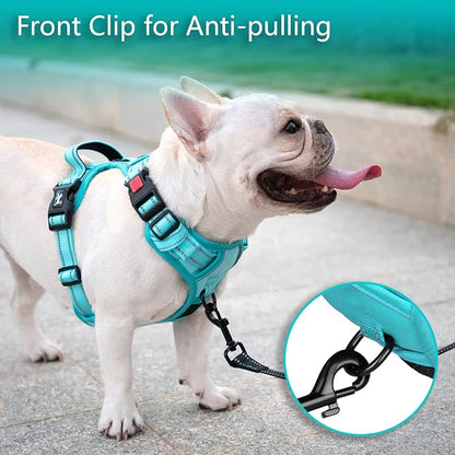 PoyPet No Pull Dog Harness, No Choke Reflective Dog Vest, Adjustable Pet Harnesses with Easy Control Padded Handle for Small Medium Large Dogs(Mint Blue Matching Trim,M)