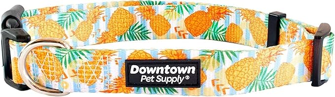 Downtown Pet Supply - Best, Cute & Fancy Dog Collar - Lightweight Adjustable Dog Collar with Quick Buckle & D-Ring - Hand Wash Safe - Pineapple - M - Medium Dog Collar