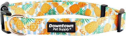 Downtown Pet Supply - Best, Cute & Fancy Dog Collar - Lightweight Adjustable Dog Collar with Quick Buckle & D-Ring - Hand Wash Safe - Pineapple - M - Medium Dog Collar