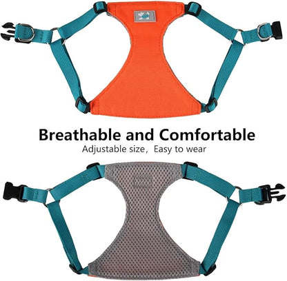 Beirui Small Dog Harness and Leash Set, No Pull Step-in Harness for Puppy, Lightweight Air Mesh Pet Harness for Small Dogs (Rose, S)