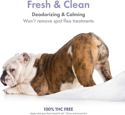 Petkin Hemp Shampoo & Conditioner for Dogs and Cats – with Hemp Oil & Calming Lavender Extract, 16 fl oz – Soothes, Calms & Conditions, Keeps Pet Smelling Great – for Home and Travel