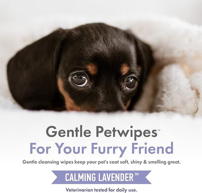 Petkin Hemp Pet Wipes for Dogs and Cats - with Hemp Oil & Calming Lavender Scent, 200 Count - Soothes, Calms & Conditions - Wipes for Pet's Face, Eyes and Body - for Home or Travel