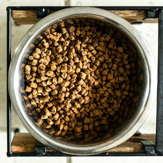 Wild Select Seafood Dog Food | No Chicken or Other Animal by-Products | Rich in Omega 3 & 6 Fatty Acids | Sustainably Sourced Wild Caught Fish | Made in The USA | 4lb Bag