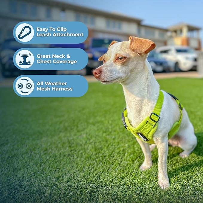 Voyager Step-in Air Dog Harness - All Weather Mesh, Reflective, No Pull Harness for Small, Medium Dogs, Cats - Secure with Hook & Loop Fastener, Buckle, Double D-Rings - Lime Green, XXS