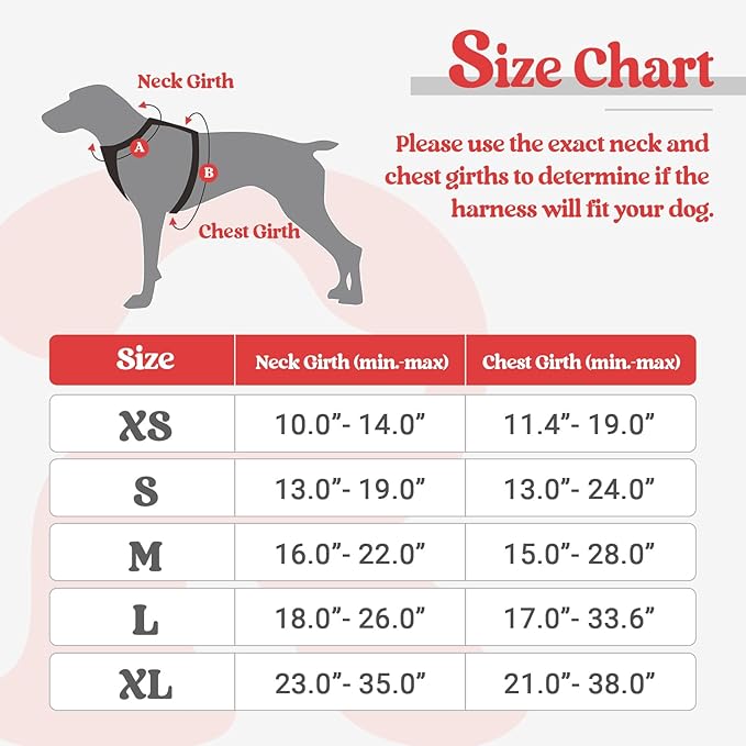 rabbitgoo Dog Harness, No-Pull Pet Harness with 2 Leash Clips, Adjustable Soft Padded Dog Vest, Reflective No-Choke Pet Oxford Vest with Easy Control Handle for Large Dogs, Black & Red, X-Small