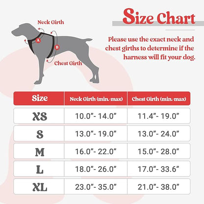 rabbitgoo Dog Harness, No-Pull Pet Harness with 2 Leash Clips, Adjustable Soft Padded Dog Vest, Reflective No-Choke Pet Oxford Vest with Easy Control Handle for Large Dogs, Black & Red, X-Small