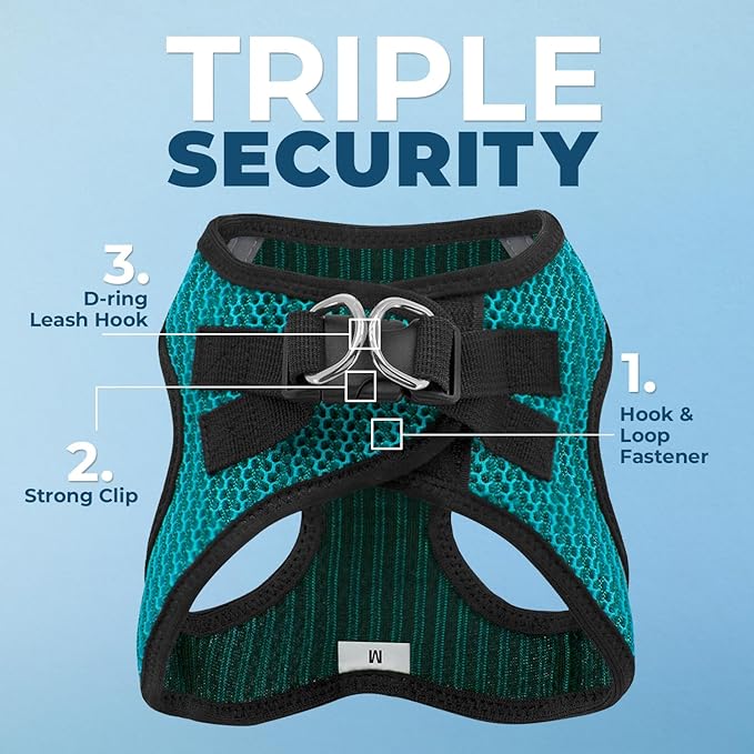 Voyager Step-in Air Dog Harness - All Weather Mesh, Reflective, No Pull Harness for Small, Medium Dogs, Cats - Secure with Hook & Loop Fastener, Buckle, Double D-Rings - Turquoise 2-Tone, S