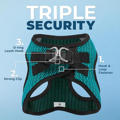 Voyager Step-in Air Dog Harness - All Weather Mesh, Reflective, No Pull Harness for Small, Medium Dogs, Cats - Secure with Hook & Loop Fastener, Buckle, Double D-Rings - Turquoise 2-Tone, S